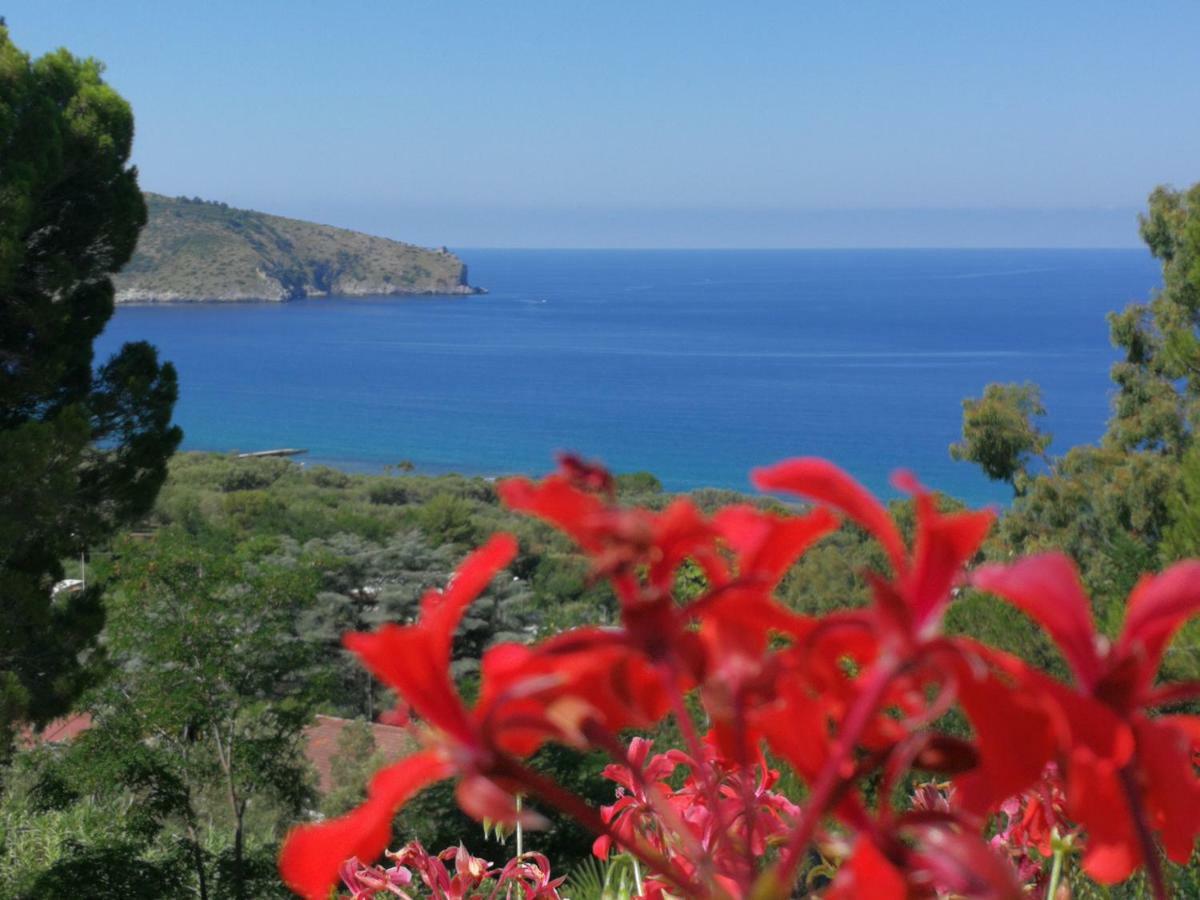 Il Sogno Di Vincenzo E Maria Bed and Breakfast Palinuro Eksteriør billede